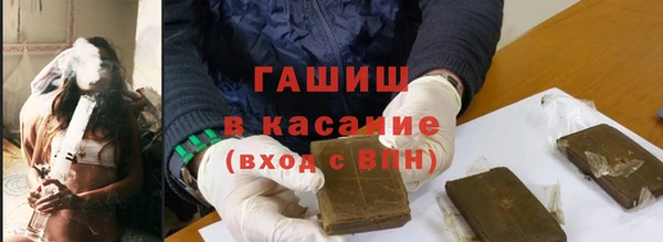 индика Алзамай