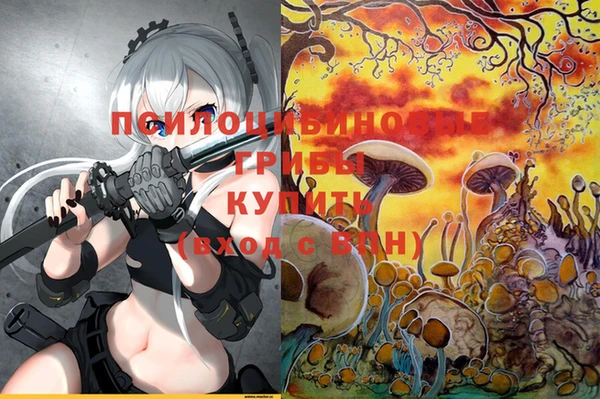 индика Алзамай