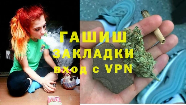 индика Алзамай