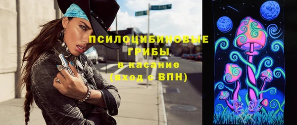 индика Алзамай