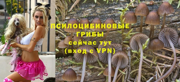 спиды Алексин