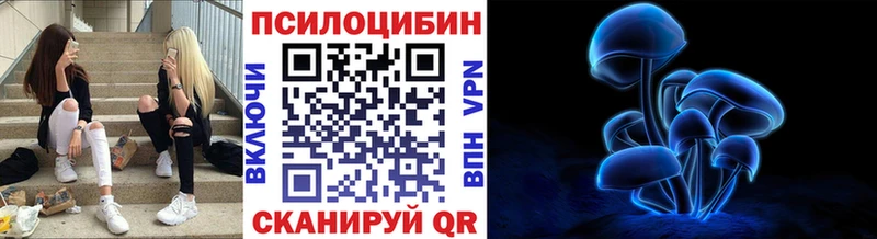 дарнет шоп  Оленегорск  Псилоцибиновые грибы Magic Shrooms 